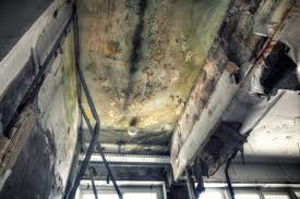 Mold Documentation for Insurance Claims in Desert Palms, CA